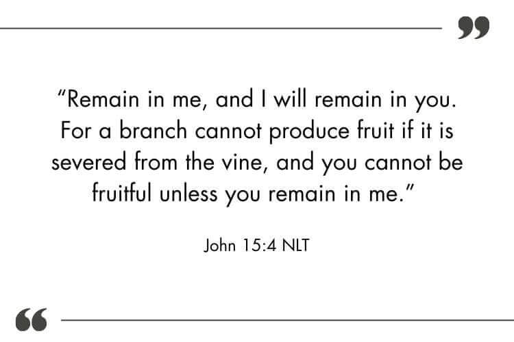 “Remain in me, and I will remain in you. For a branch cannot produce fruit if it is severed from the vine, and you cannot be fruitful unless you remain in me.” John 15:4 NLT